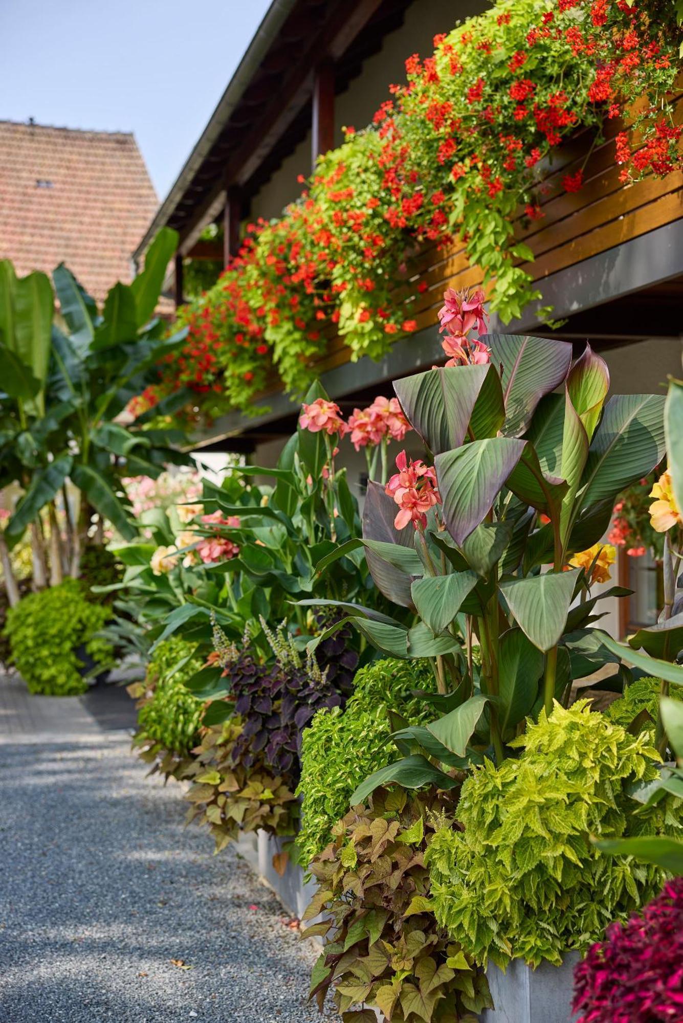 Hotel Garni Sonnenhof Reichenberg  Exteriér fotografie