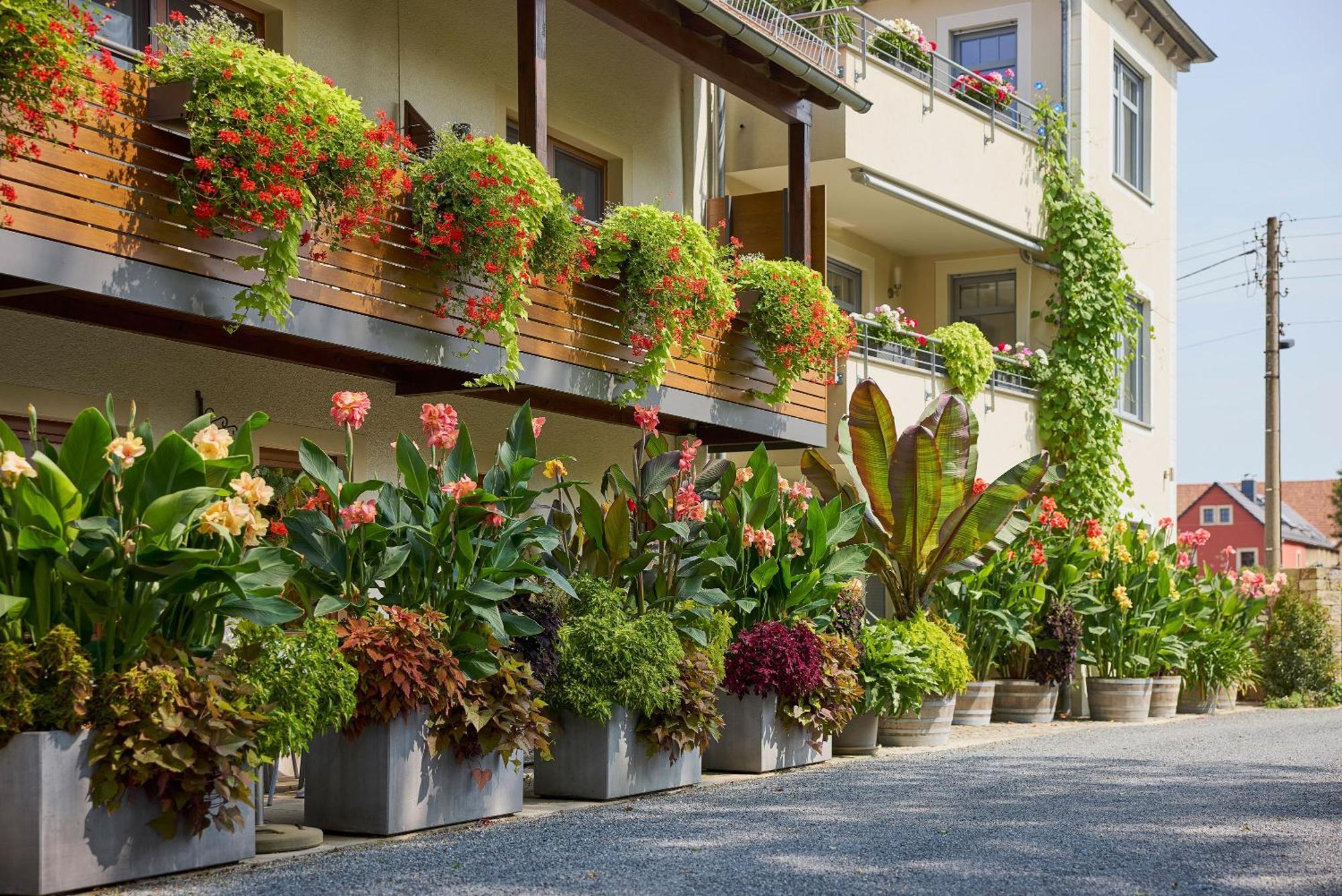 Hotel Garni Sonnenhof Reichenberg  Exteriér fotografie